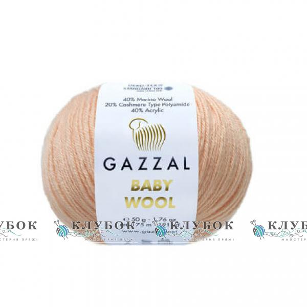 Пряжа Gazzal «Baby Wool / Беби Вул» Турция №834(пресик)